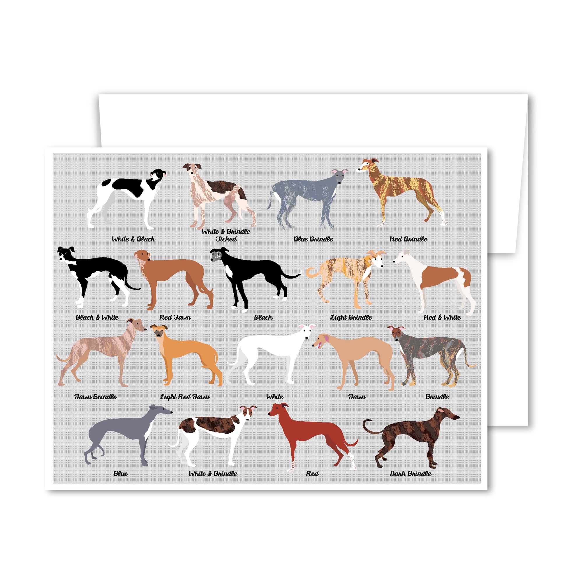 Illustrated greyhound greeting card featuring multiple coat colors and patterns, perfect for dog lovers and everyday occasions.