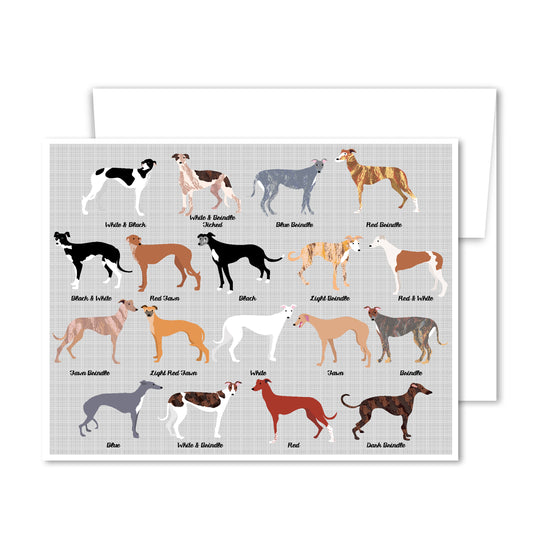 Illustrated greyhound greeting card featuring multiple coat colors and patterns, perfect for dog lovers and everyday occasions.