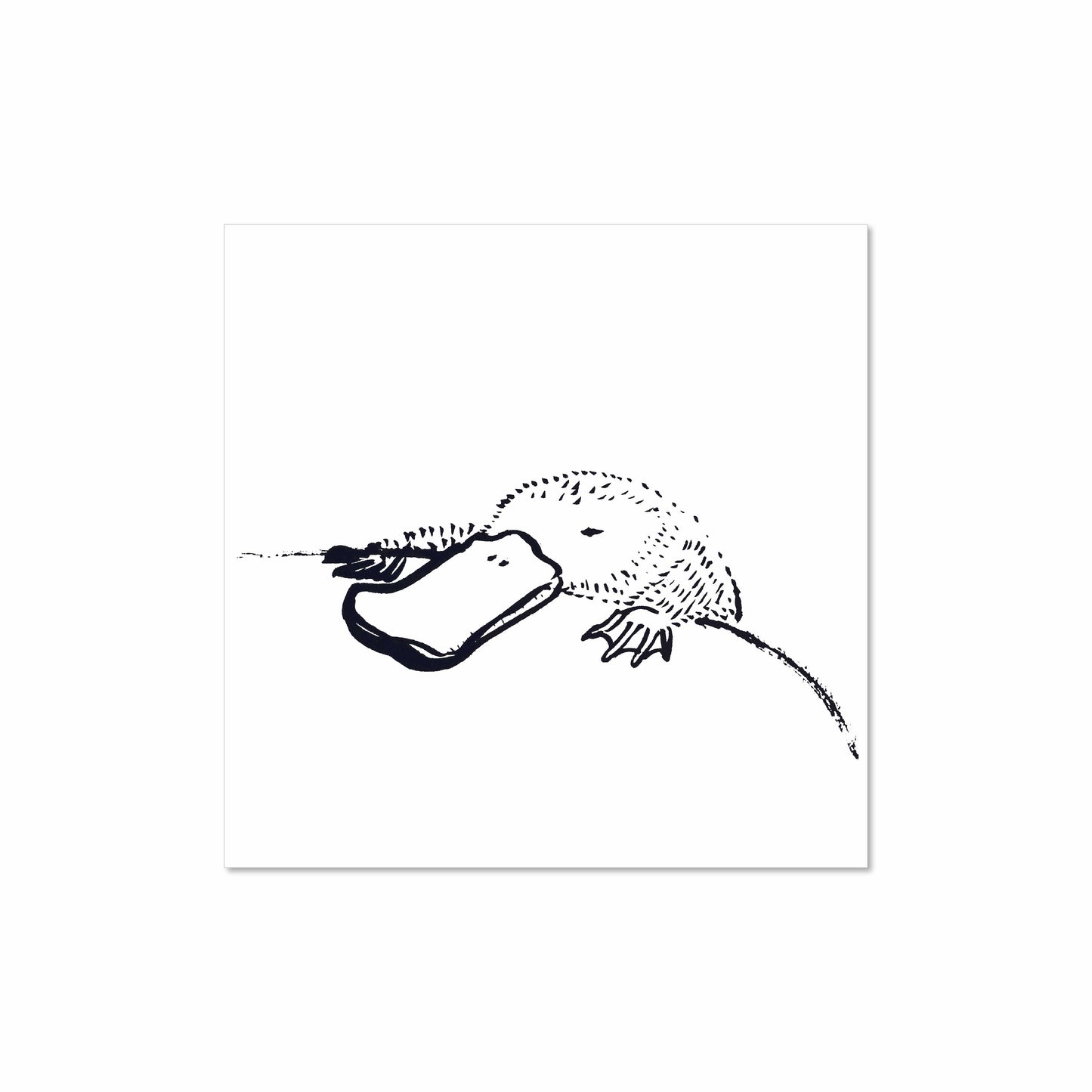 Black ink illustration of a platypus resting on a curve of riverbank, eyes closed, drawn with soft, minimal linework on a white background.