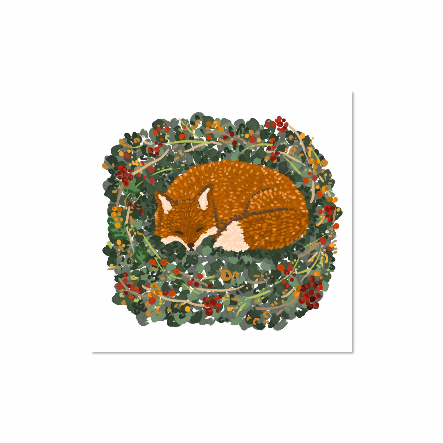 Illustrated art print of a sleeping red fox curled up in a bed of colorful berry brambles and green leaves, professionally printed on 8x8 paper.