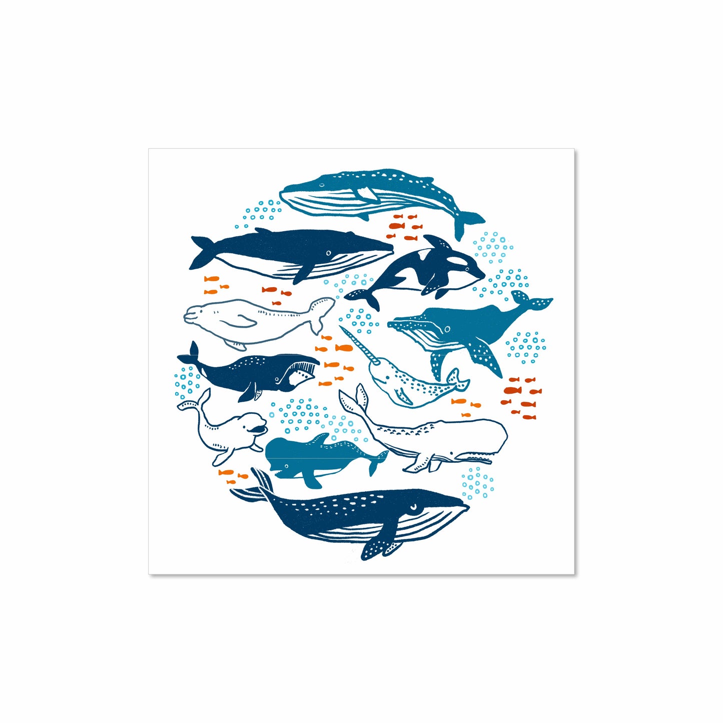 Illustrated print of various whales and ocean creatures in blue tones with orange fish, art by Miss Johnny Squirrel on white background