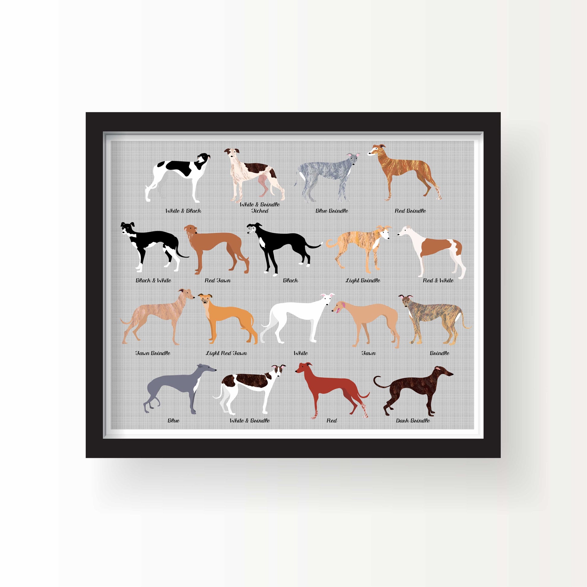 Illustrated chart of eighteen greyhounds in various coat colors and patterns, labeled with their names, on a soft gray background.