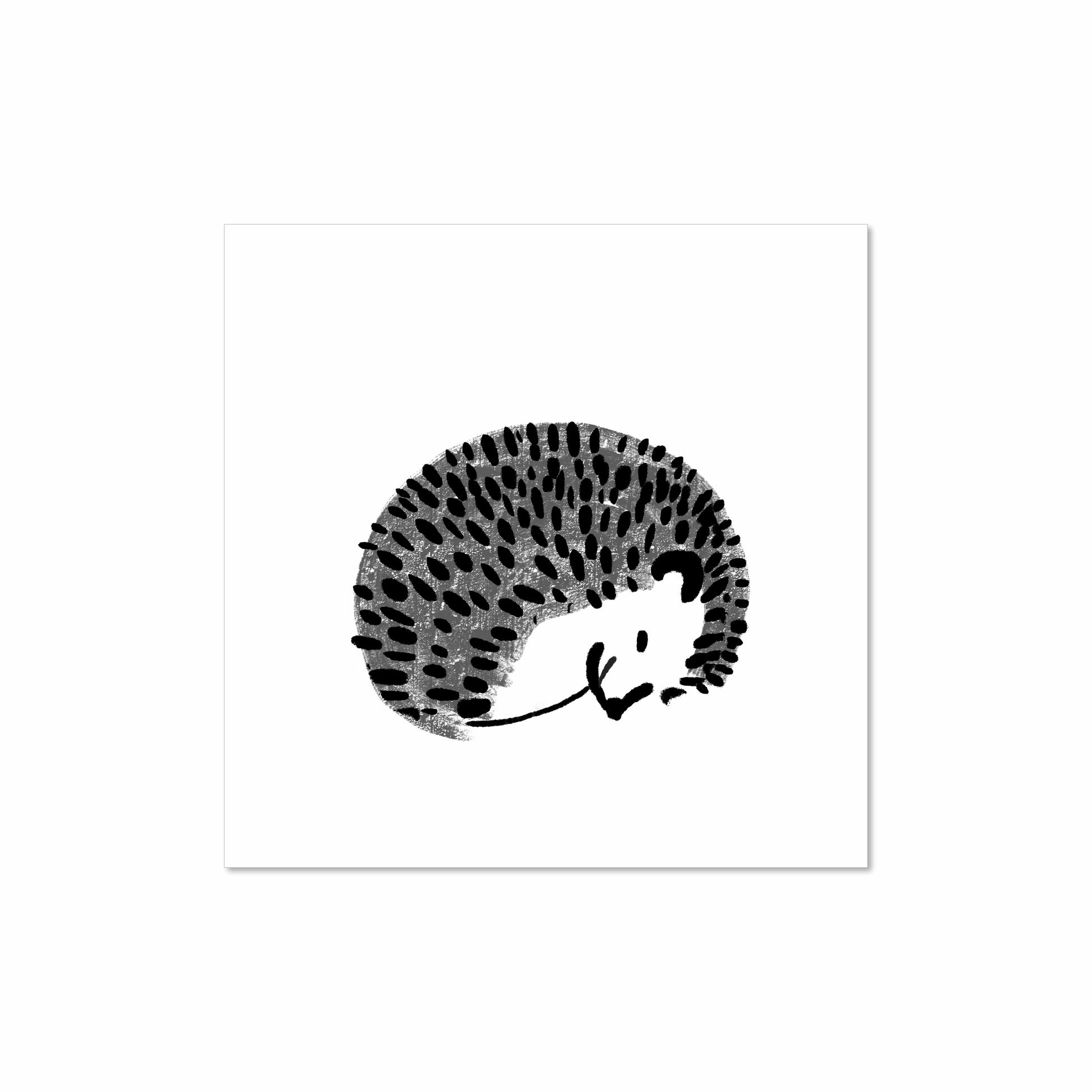 Minimal black and gray illustrated hedgehog curled up sleeping on white background, 8x8 art print by Miss Johnny Squirrel