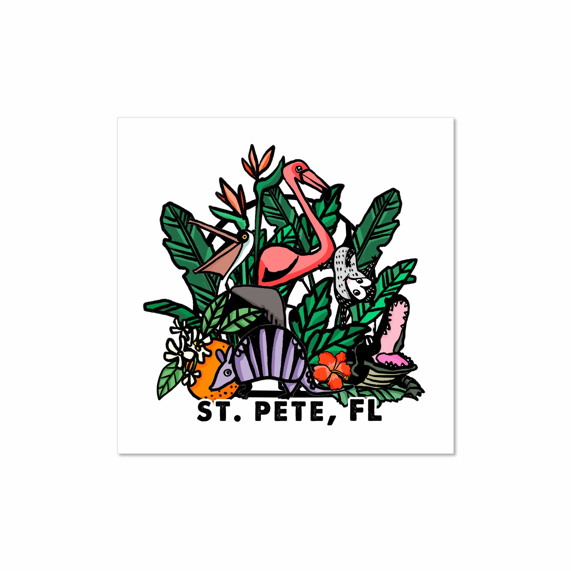 Colorful illustration of Florida animals and plants including flamingo, pelican, gator, possum and armadillo, with text “St. Pete, FL,” 8x8 art print by Miss Johnny Squirrel