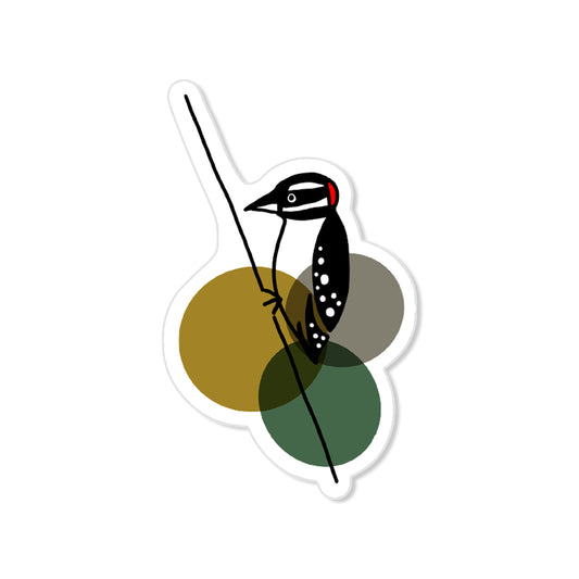 Woodpecker sticker with black and white bird and red crown, hand-drawn woodland illustration