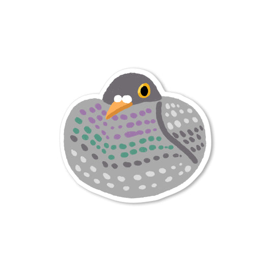 Hand-drawn plump gray pigeon with purple, green, white, and charcoal patterned feathers and a bright golden eye.
