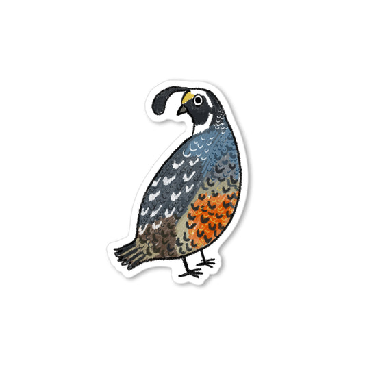 Quail sticker – adorable quail bird sticker
